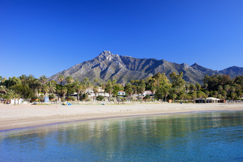 The La Zagaleta Area Guide