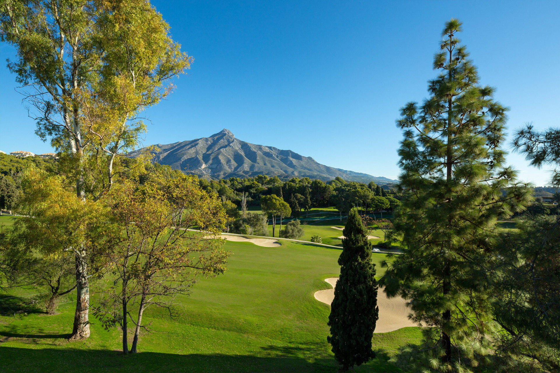 Best Golf Communities for Property Buyers in Nueva Andalucía